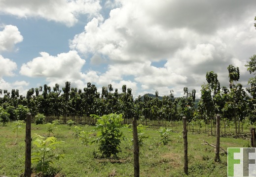 Playa Chuzo, Okt. 2011