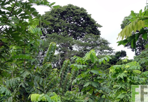 Metetí I, Okt. 2011