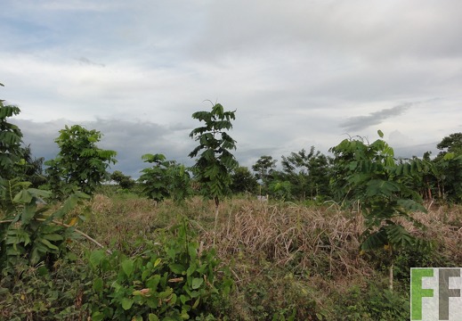 La Relojera III, Okt. 2011