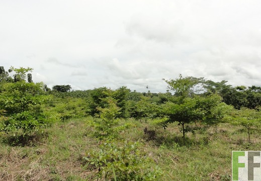 Alabaster, Oktober 2011