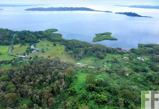 Cacaofinca Qda. Pitti