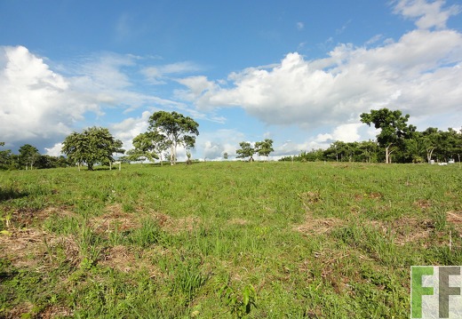 El Tirao vor Aufforstung