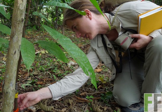 Kacaofinca in Bocas del Toro