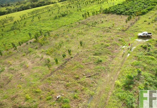 Agroforstprojekt, Luftbild