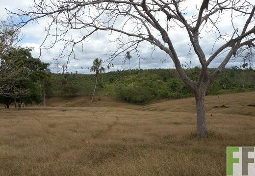 Ojo de Agua II, Aug. 2010