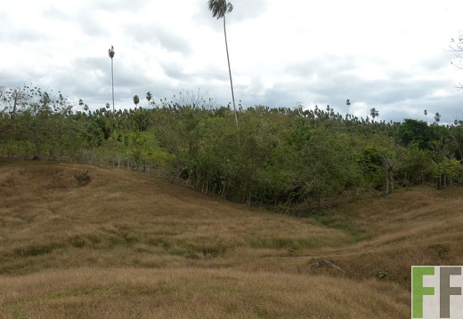 Ojo de Agua II, Aug. 2010