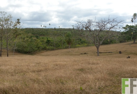 Ojo de Agua II, Aug. 2010