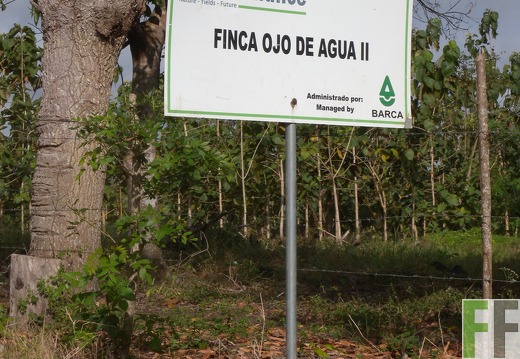 Ojo de Agua II, Aug. 2010