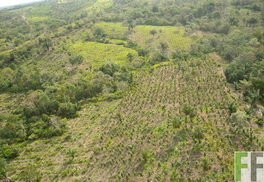 Cleopatra, Luftaufnahme