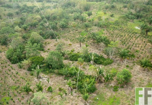 Cleopatra, Luftaufnahme