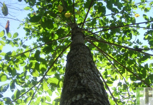 Los Rios II 2006, Zapatero