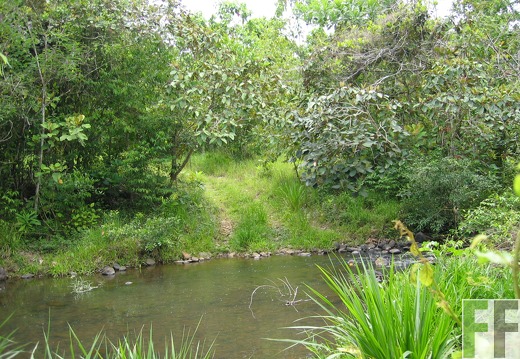 Los Rios I 2005, Schutzfläche