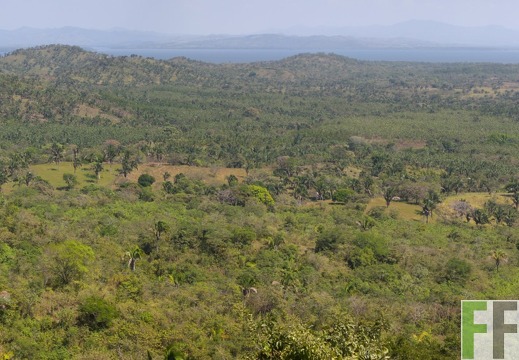 Veraguas Panorama