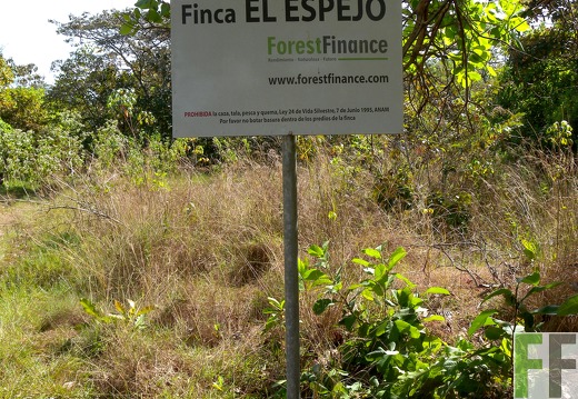 El Espejo