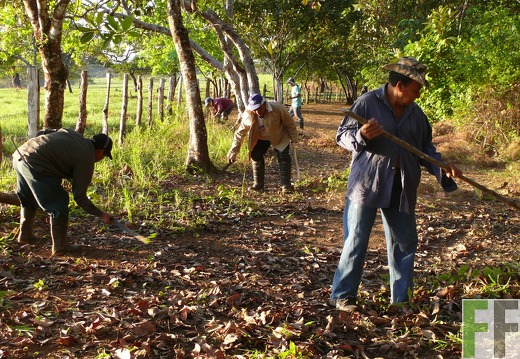 Madera Fina 2010, Feuerstreifen