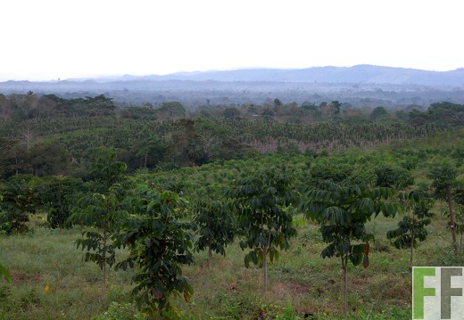La Colina 2010, Zapateros