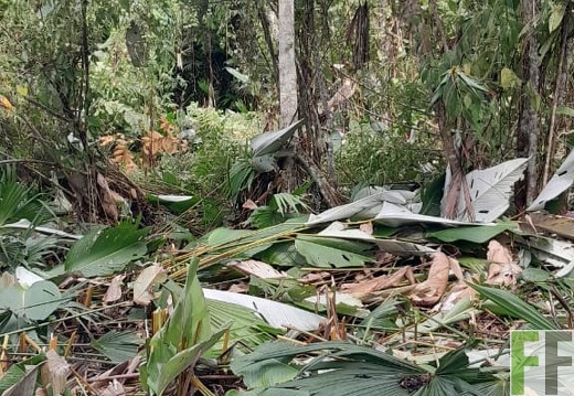 Pflegemaßnahmen 2024