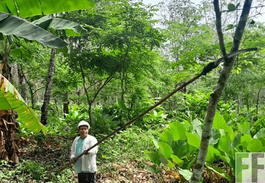 Pflegemaßnahmen 2024