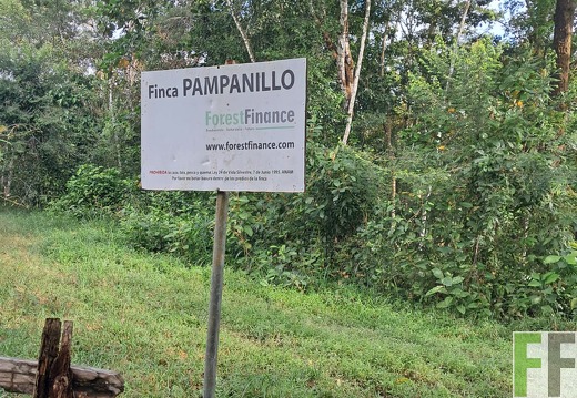 Waldbegehung Pampanillo 2024