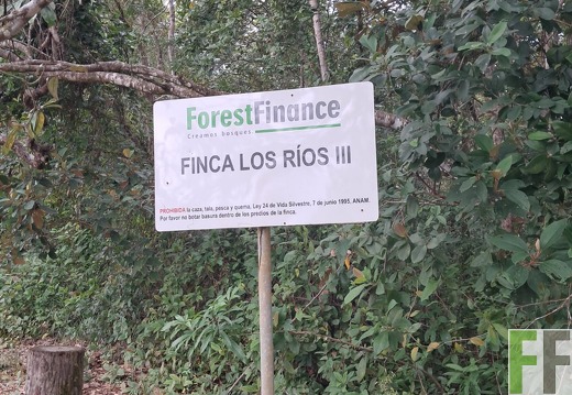 Waldbegehung Los Rios 32024