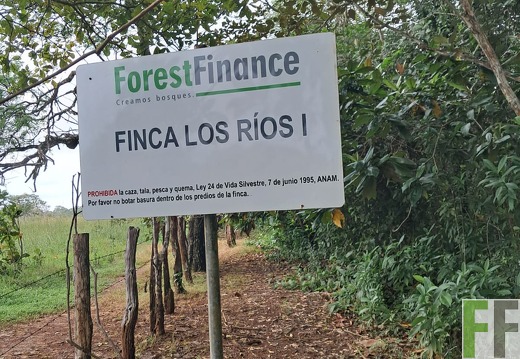 Waldbegehung Los Rios 1 2024