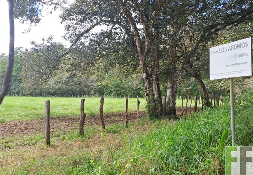 Waldbegehung Los Aromos 2024