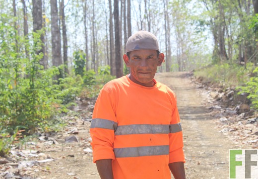 Holzernte in Loma 2023