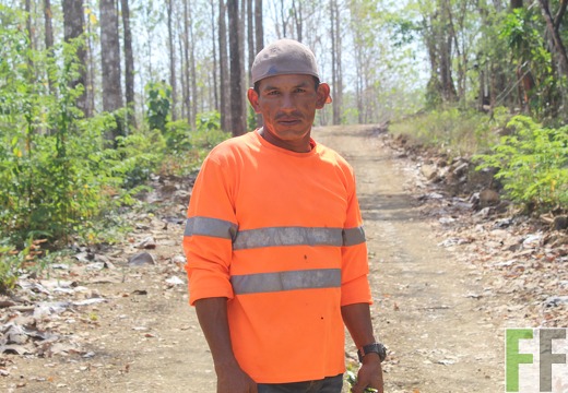 Holzernte in Loma 2023