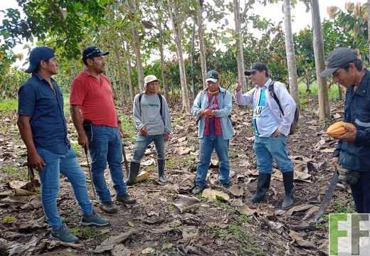 Peru Kakaofincas 2022