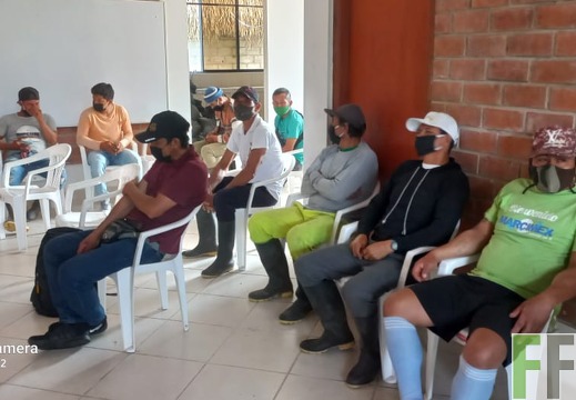 Gesundheitscheck für Mitarbeitende