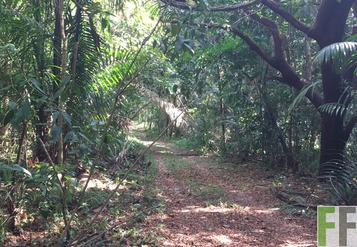 Blick in den Naturlehrpfad