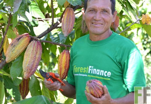 Gunter Ramirez, Peru