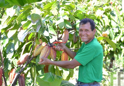 Gunter Ramirez, Peru