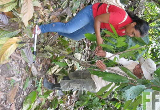 Melissa Cuesta, Peru 2013