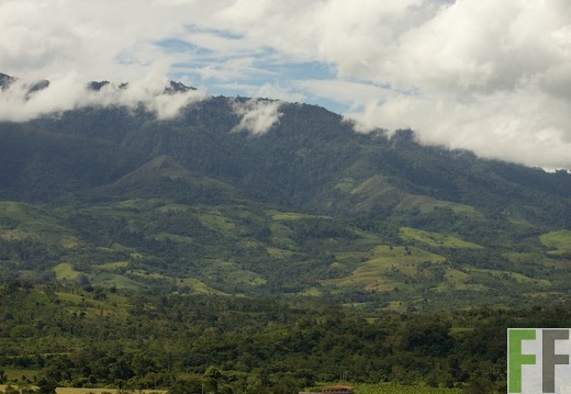 Peru 2013, Finca Sisa