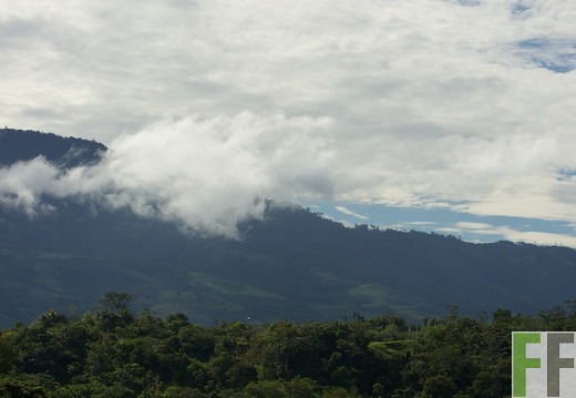 Peru 2013, Finca Sisa