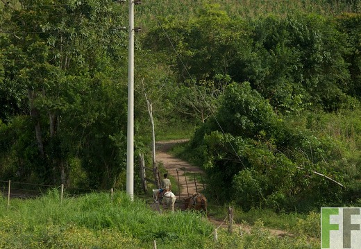 Peru 2013, Finca Sisa