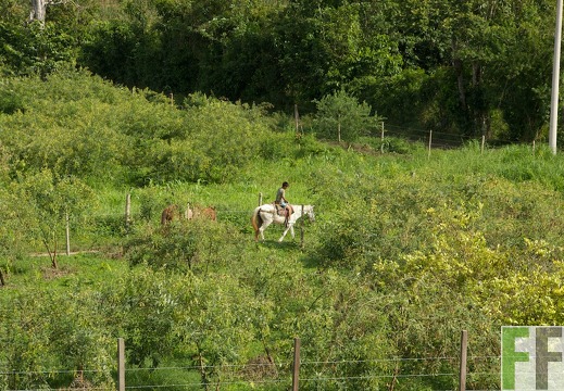 Peru 2013, Finca Sisa