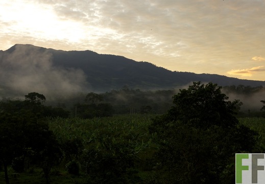 Peru 2013, Finca Sisa