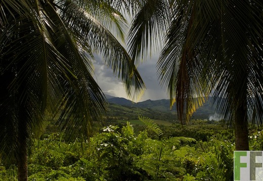 Peru 2013, Finca Sisa