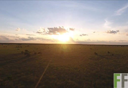 Akazienforste in Kolumbien von oben
