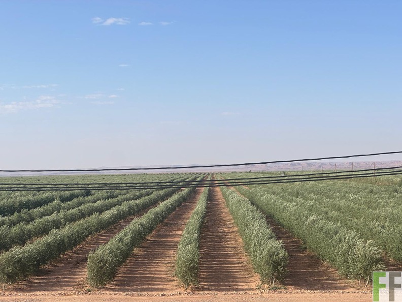 WhatsApp Image 2025-05-22 at 10.00.41 (1).jpeg