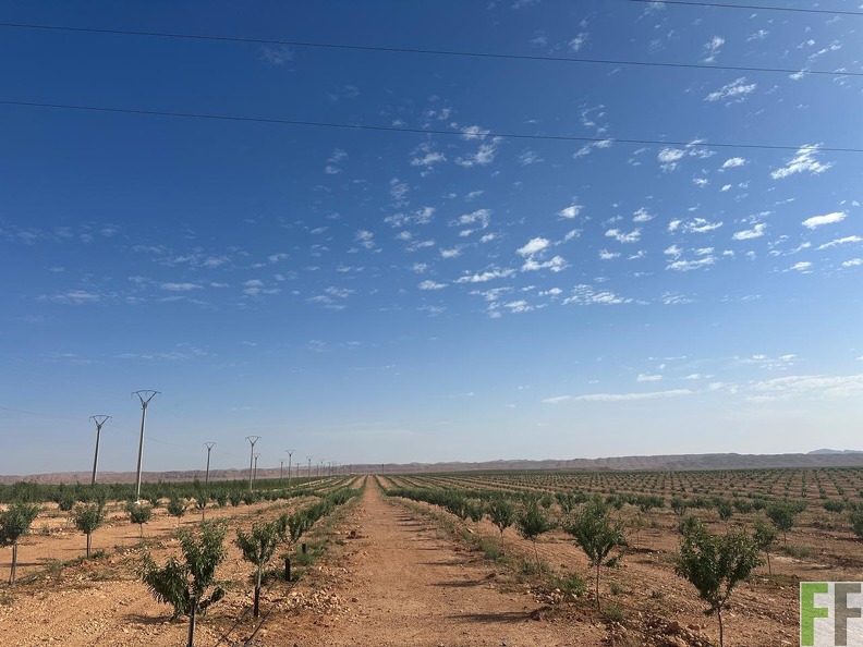 WhatsApp Image 2025-05-22 at 10.00.46 (3).jpeg