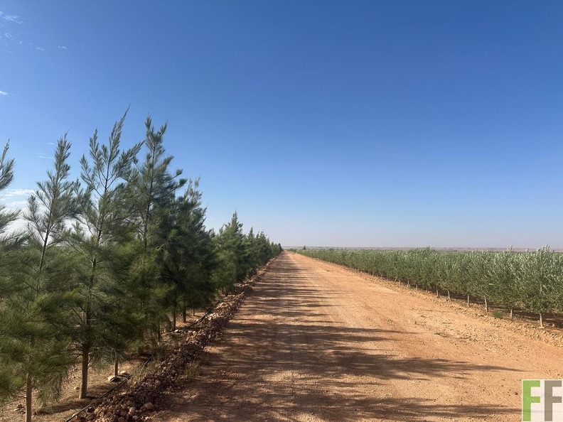 WhatsApp Image 2025-05-22 at 10.00.46.jpeg