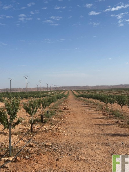 WhatsApp Image 2025-05-22 at 10.00.47.jpeg