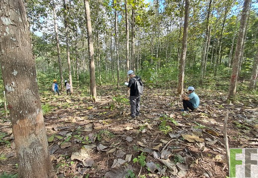 Prüfung Alabaster 2025