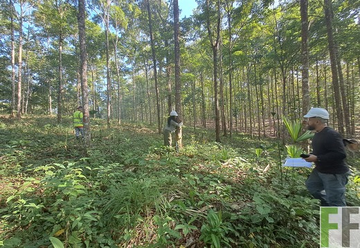 Prüfung Alabaster 2025