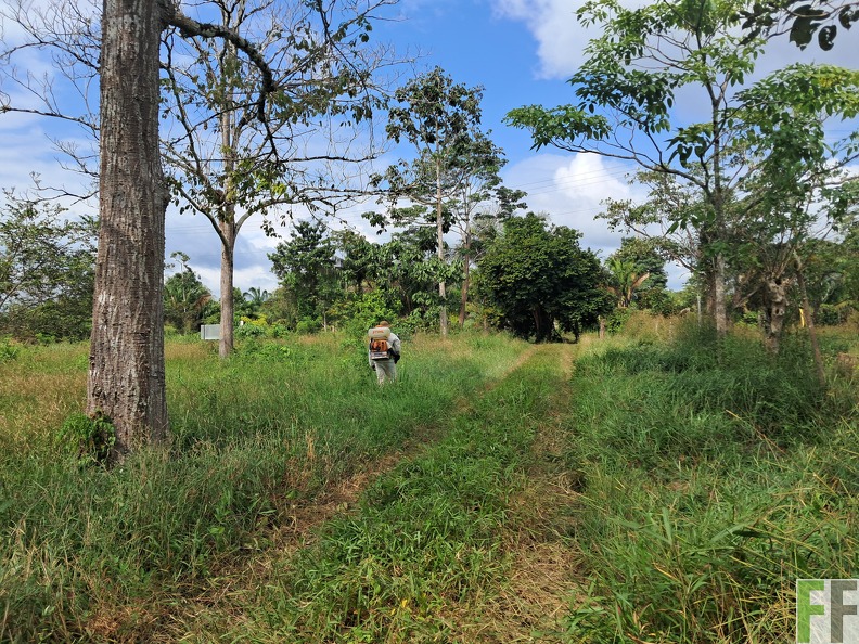 Buenos aires camino interno.jpg