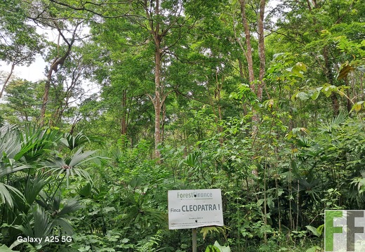 Bilder der Waldbegehung 2025