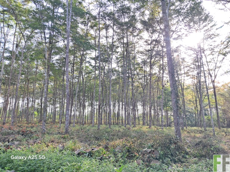 LA OCHO AMARILLO.jpg